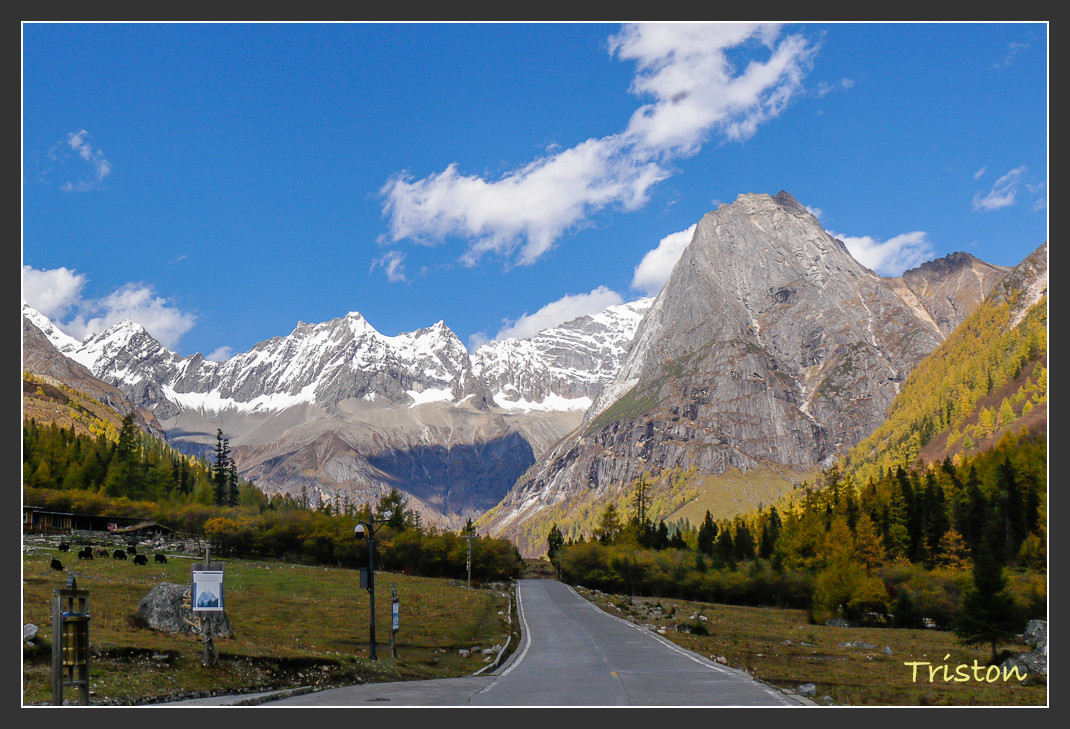 _MG_0589.jpg - 20161013 稻城亞丁