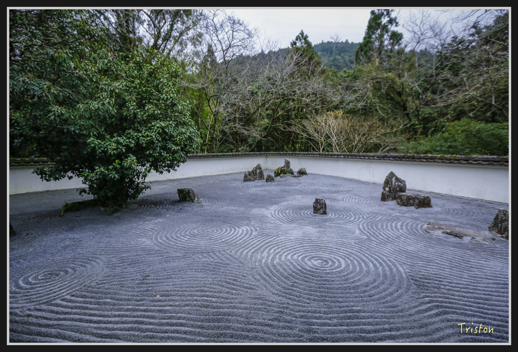 00173.jpg - 20161231 明池 神木園