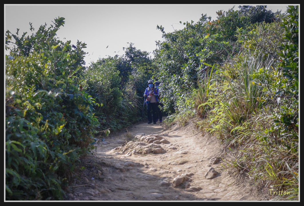 00156.jpg - 20170107 香港健行