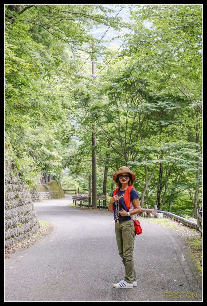 _MG_0742.jpg - 20170702 靜岡東海道之旅