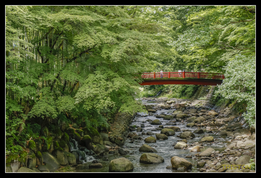 _MG_1258.jpg - 20170702 靜岡東海道之旅