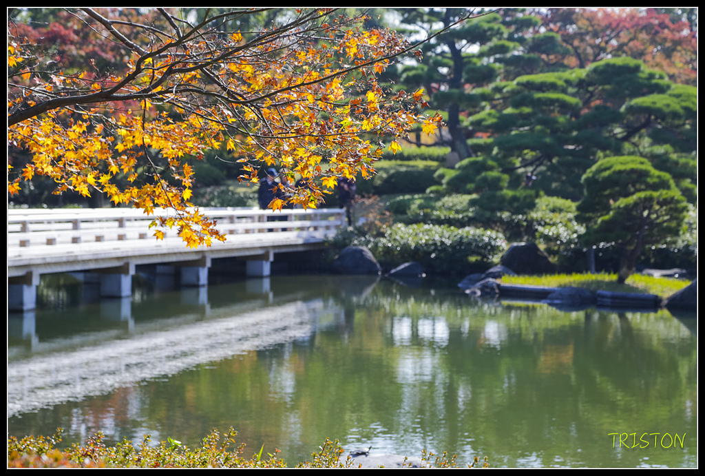 _H1A1745.jpg - 20171103 日本只見線、會津若松五色沼、昭和記念公園賞紅葉