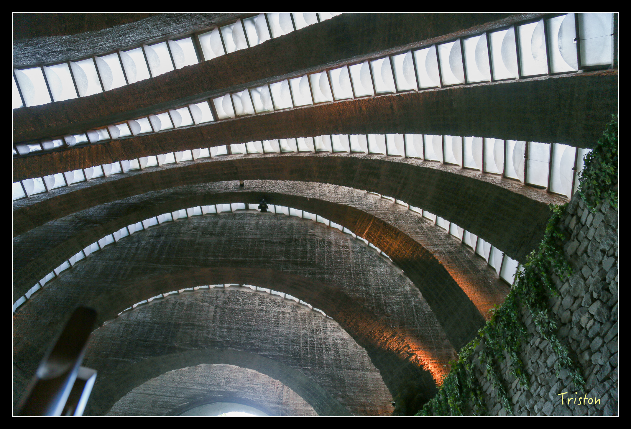 JH1A9186.jpg - 20150628 東京輕井澤日光