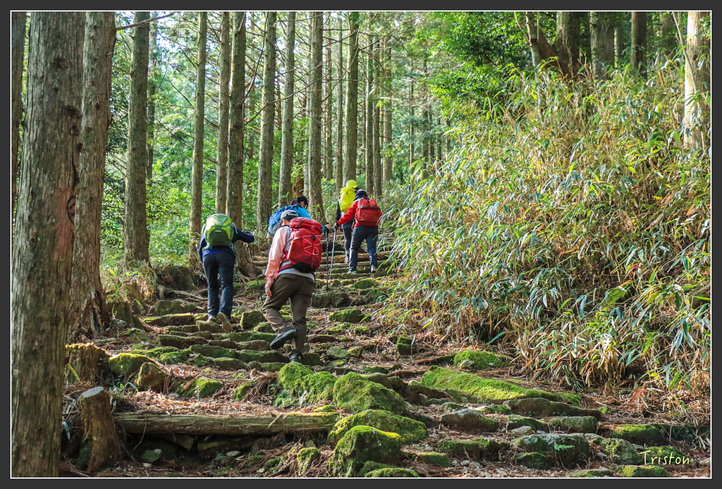 IMG_5407.jpg - 20160323 日本熊野古道健行