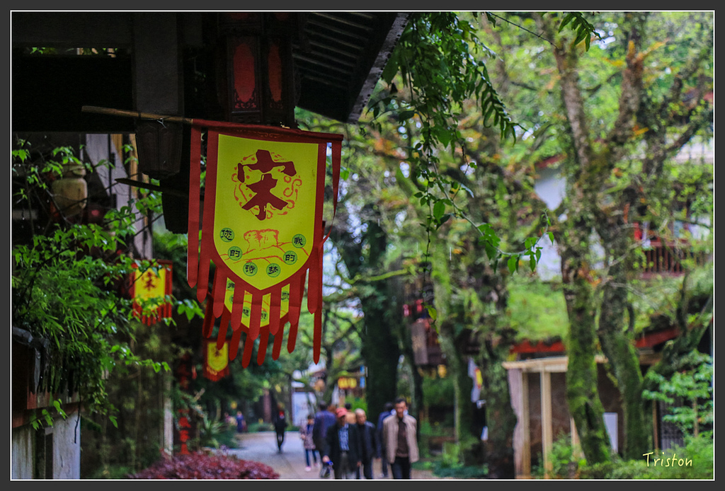 IMG_6480.jpg - 20160409 武夷山之旅