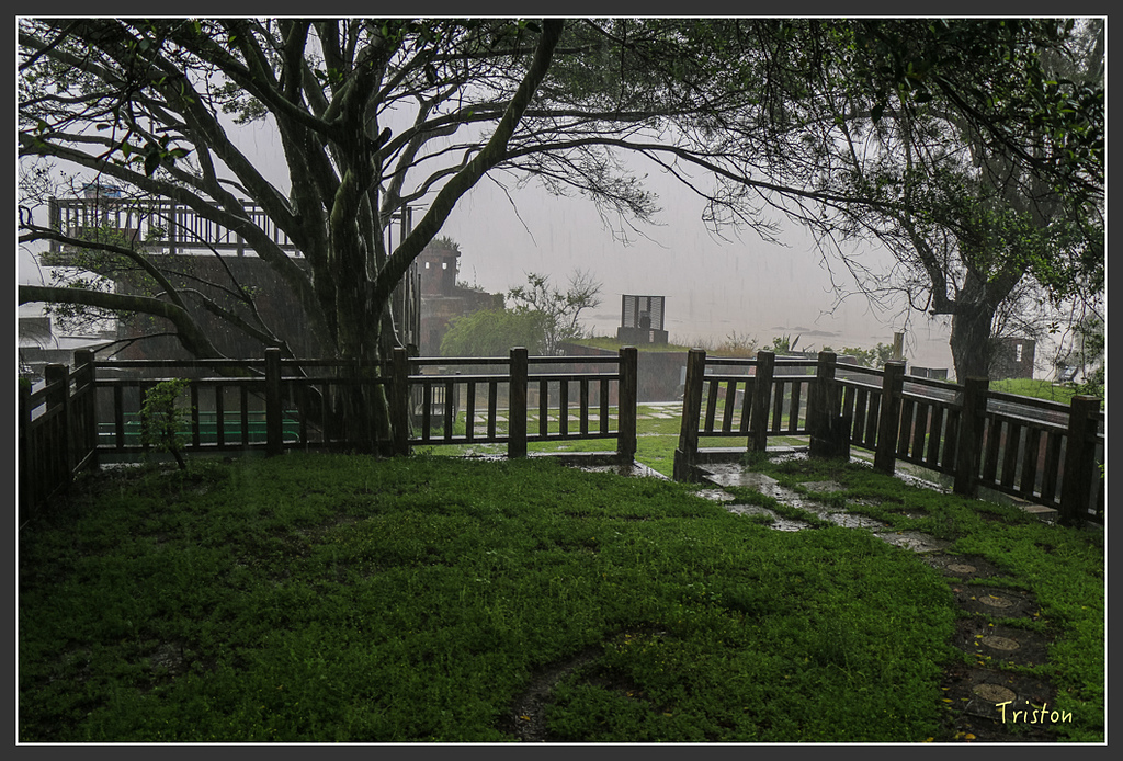 IMG_6932.jpg - 20160409 武夷山之旅