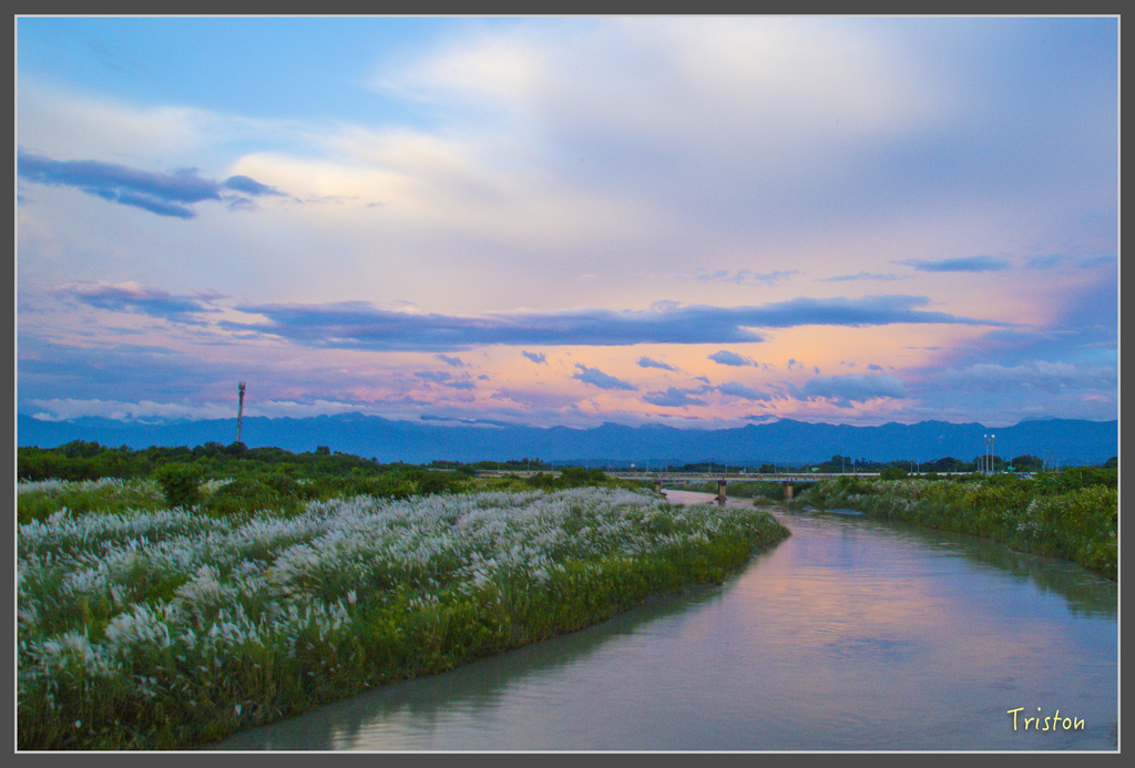 jh1a0155_29586457702_o.jpg - 20160929 八掌溪菅芒花+奇美博物館夕陽