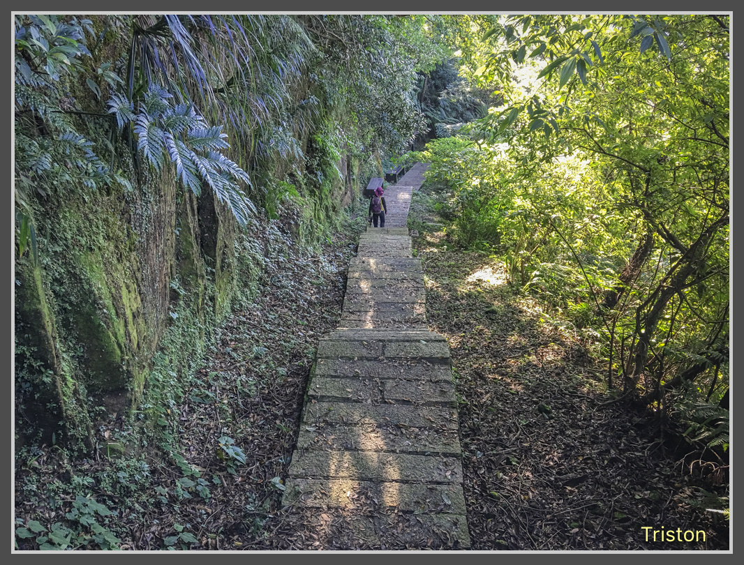 IMG_9716.jpg - 201161113 皇帝殿東西峰