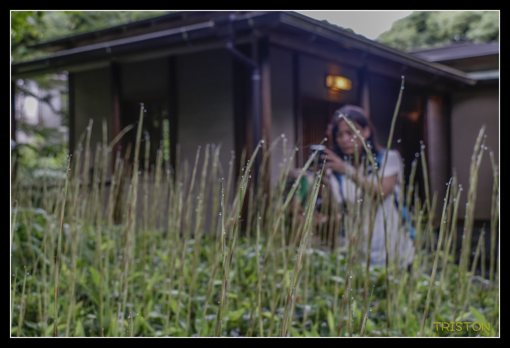 _MG_1228.jpg - 20170702 靜岡東海道之旅