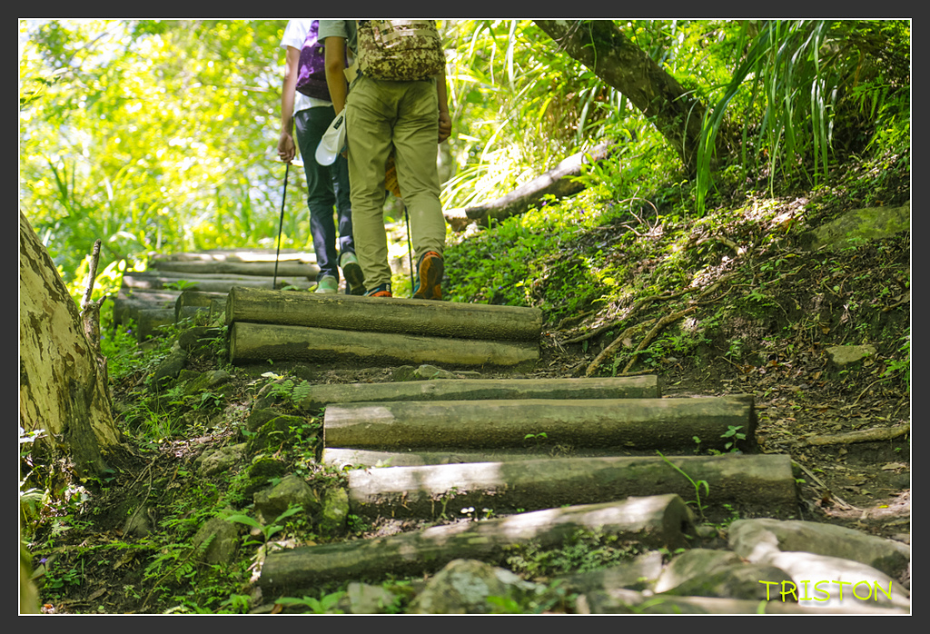 _H1A6329.jpg - 20170901 戀戀台九線