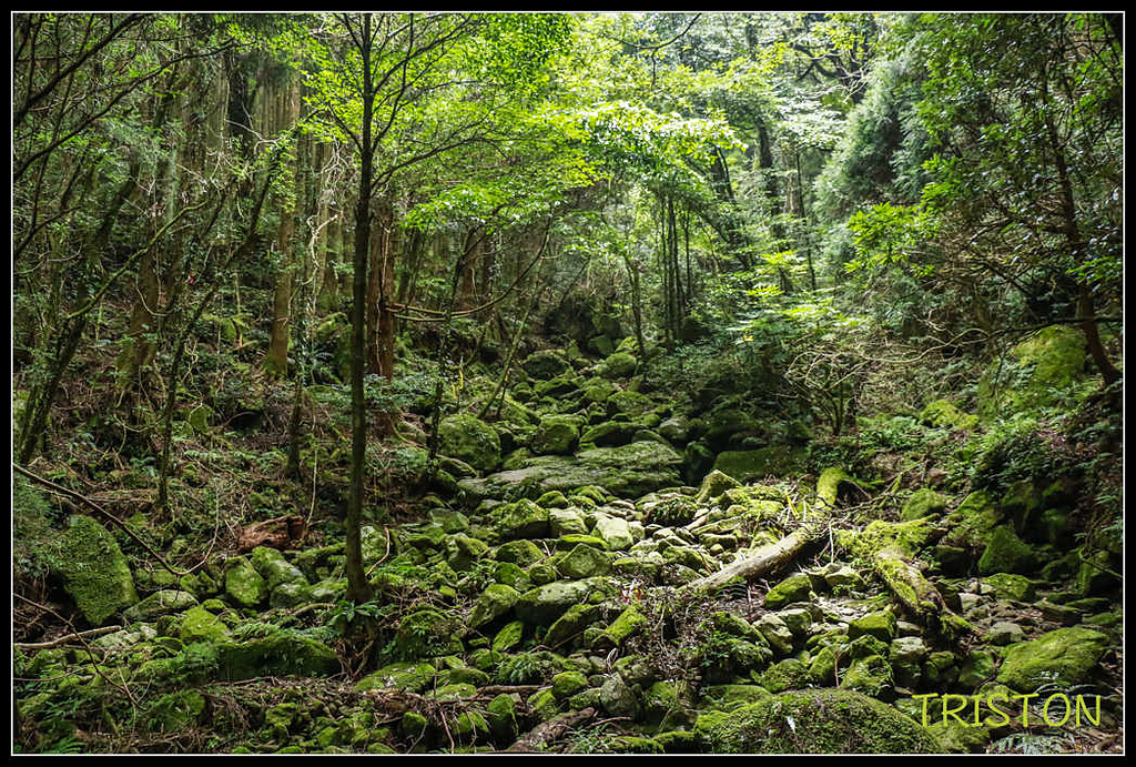 _MG_0062.jpg - 20170920 加里山