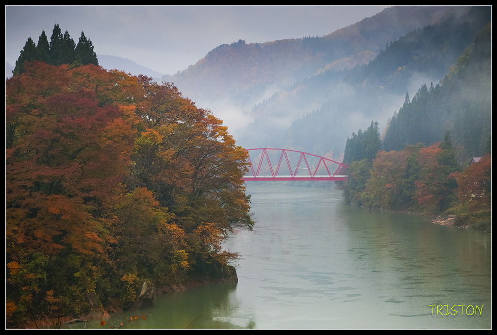 _H1A0350.jpg - 20171103 日本只見線、會津若松五色沼、昭和記念公園賞紅葉