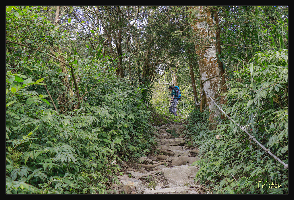_MG_1016.jpg - 20180127 日湯真山