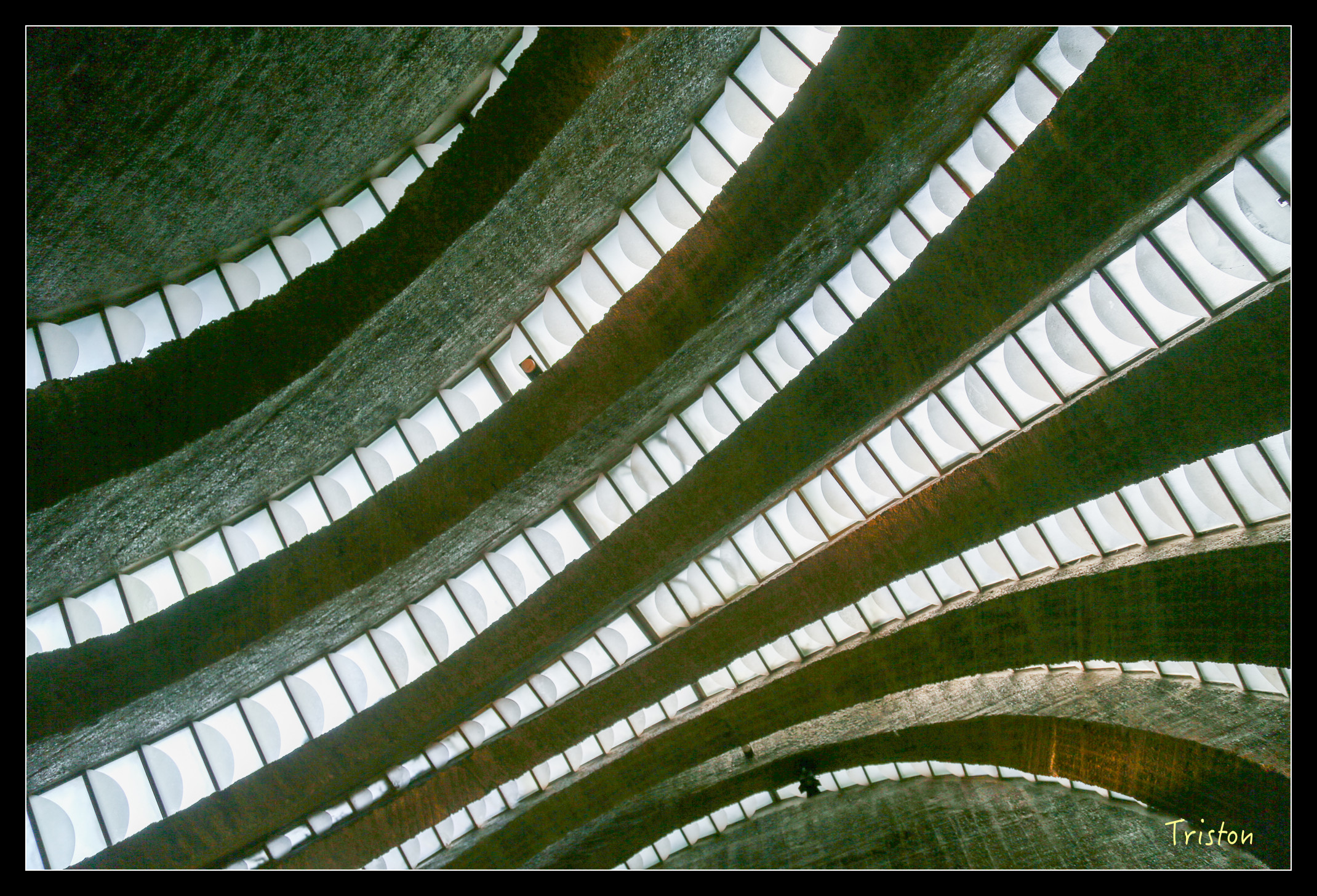 JH1A9187.jpg - 20150628 東京輕井澤日光