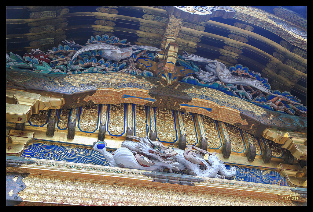 JH1A0020.jpg - 20150628 東京輕井澤日光