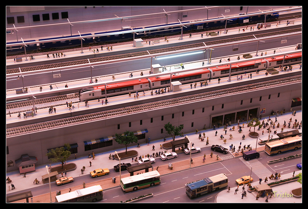 JH1A0328.jpg - 20150628 東京輕井澤日光