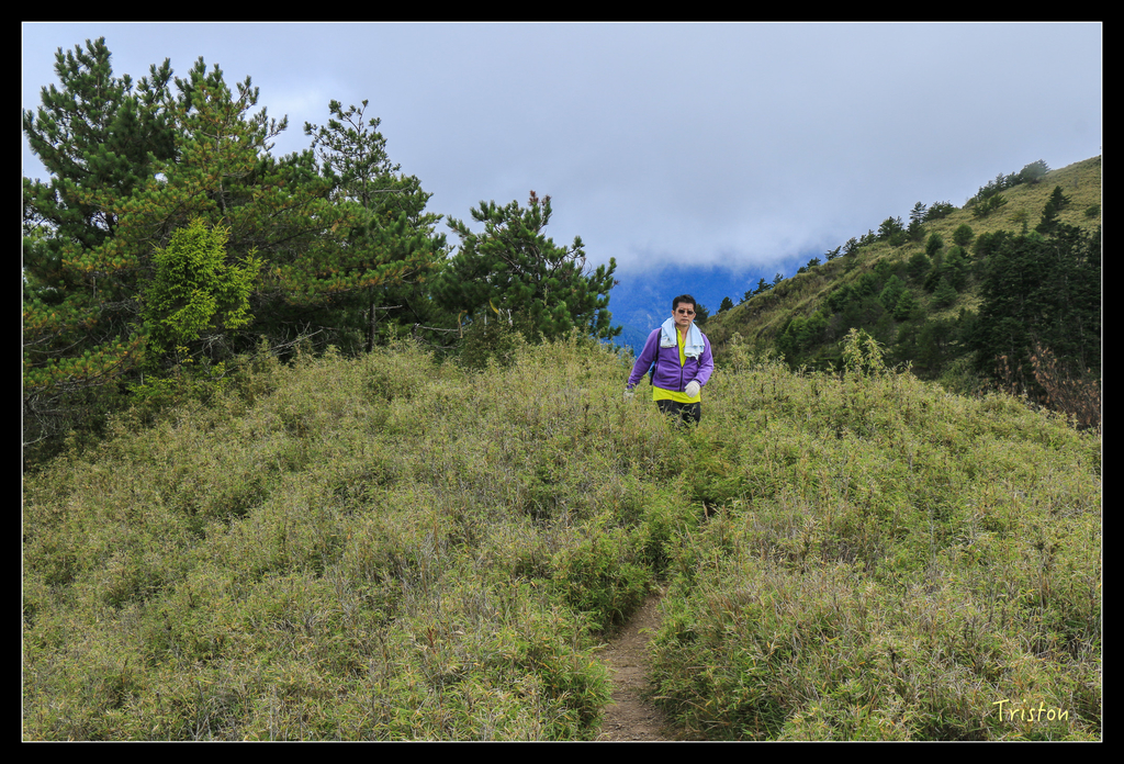 IMG_8762.jpg - 20151017 郡大林道、望鄉山、郡大山
