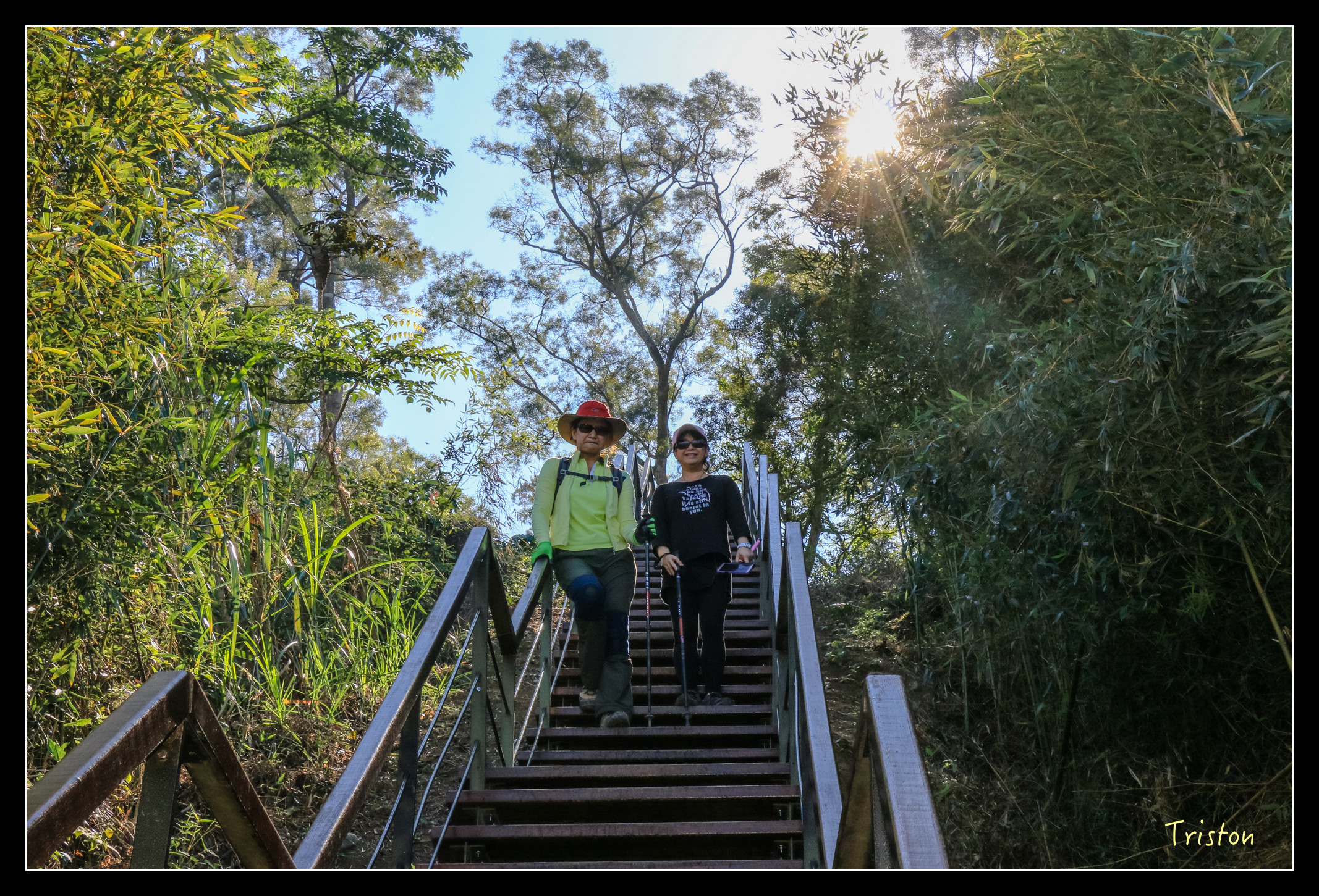 IMG_0375.jpg - 20151214 林內龍過脈步道