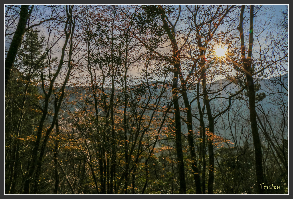 IMG_5336.jpg - 20160323 日本熊野古道健行