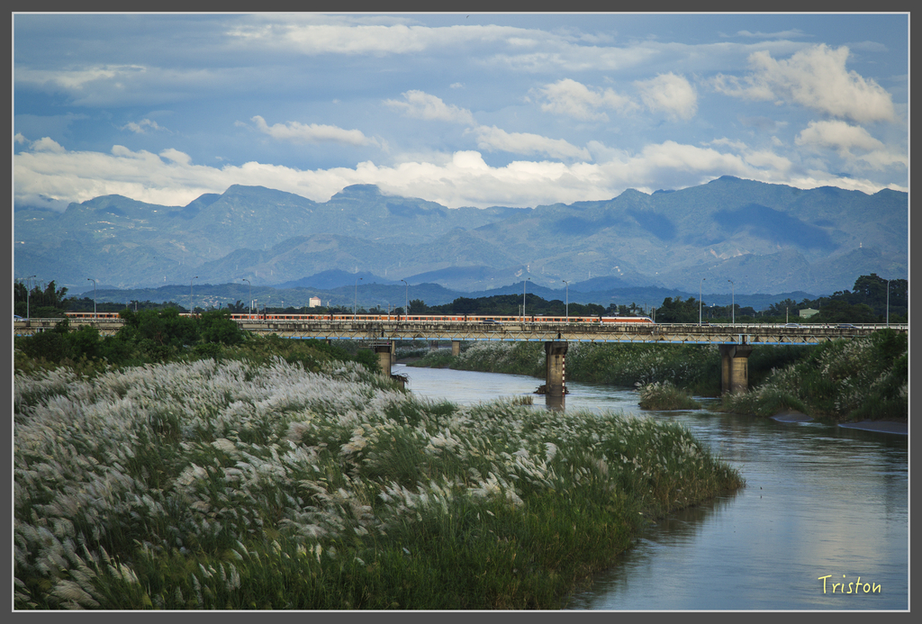 jh1a9950_29697922445_o.jpg - 20160929 八掌溪菅芒花＋奇美博物館夕陽
