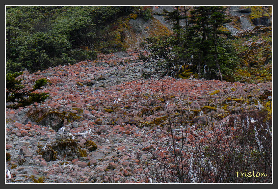 _MG_2683.jpg - 20161013 稻城亞丁