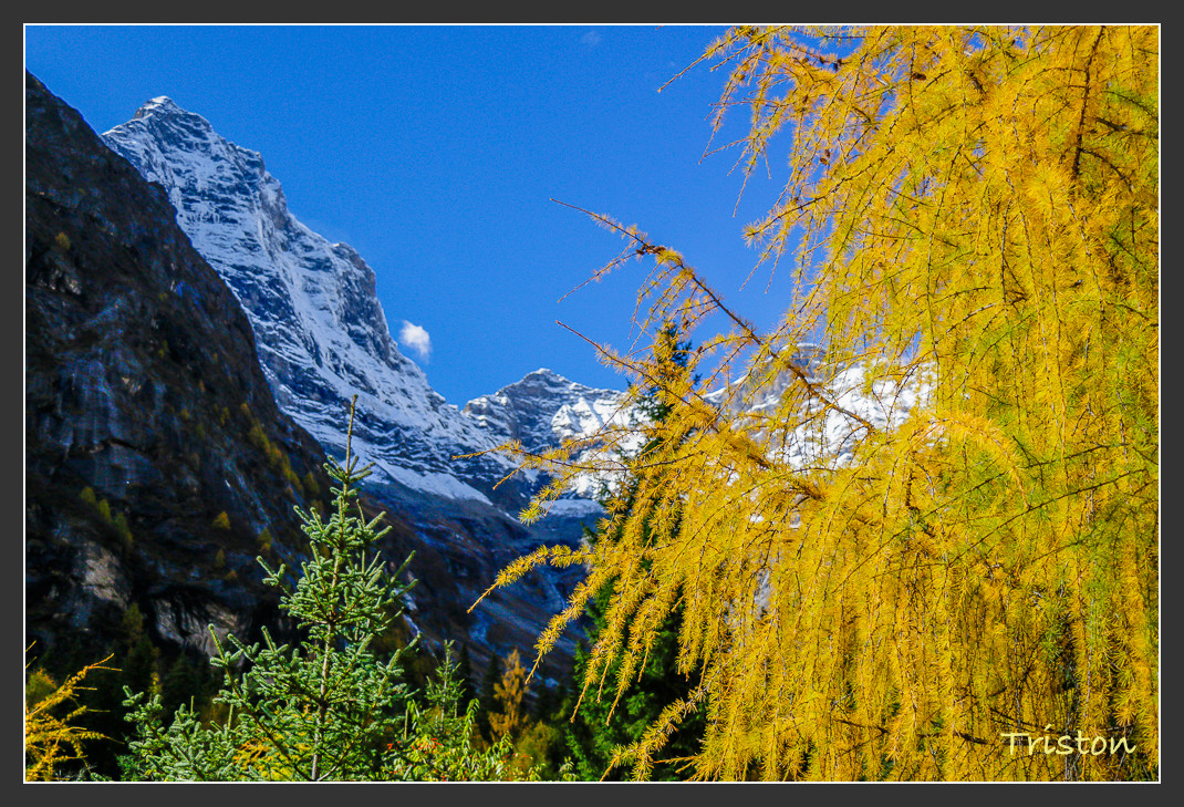 _MG_0628.jpg - 20161013 稻城亞丁