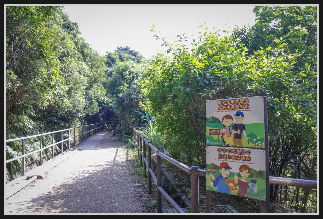 00175.jpg - 20170107 香港健行