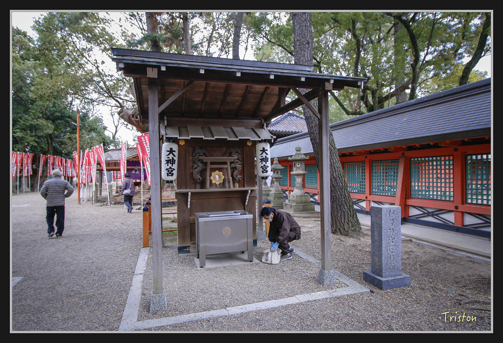 Canon-348.jpg - 20170120 大阪神戶親子遊