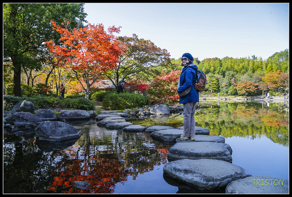 _H1A1767.jpg - 20171103 日本只見線、會津若松五色沼、昭和記念公園賞紅葉