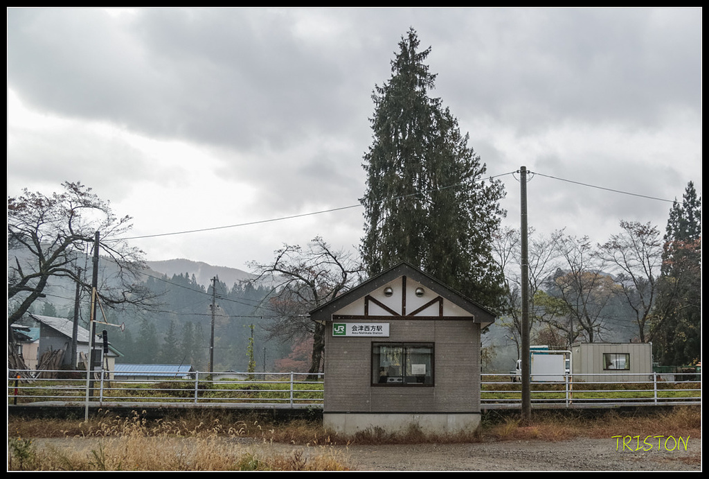 _H1A0365.jpg - 20171103 日本只見線、會津若松五色沼、昭和記念公園賞紅葉