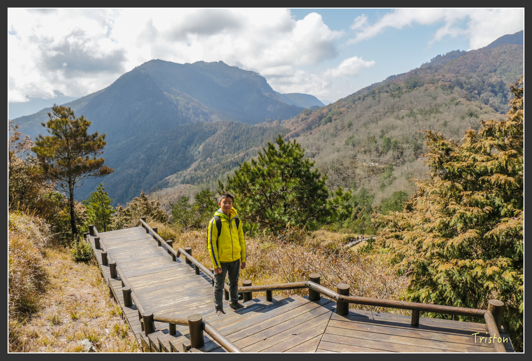 IMG_3388.jpg - 20160227 觀霧森林步道