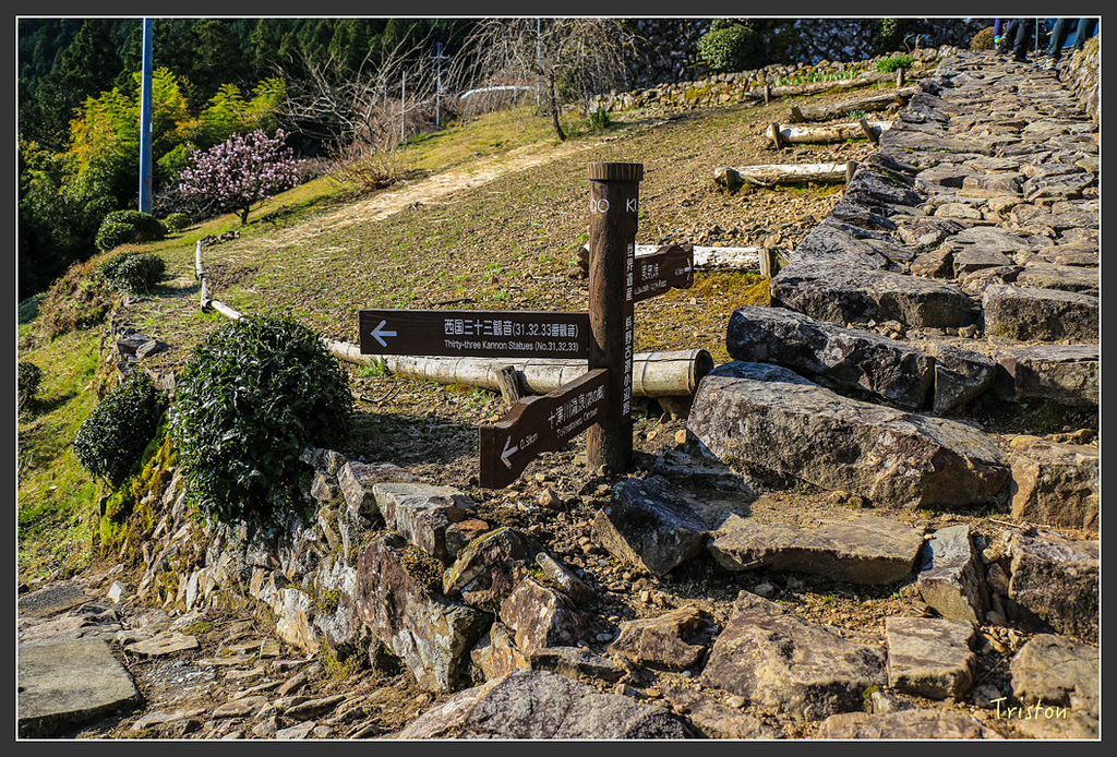 IMG_4645.jpg - 20160323 日本熊野古道健行