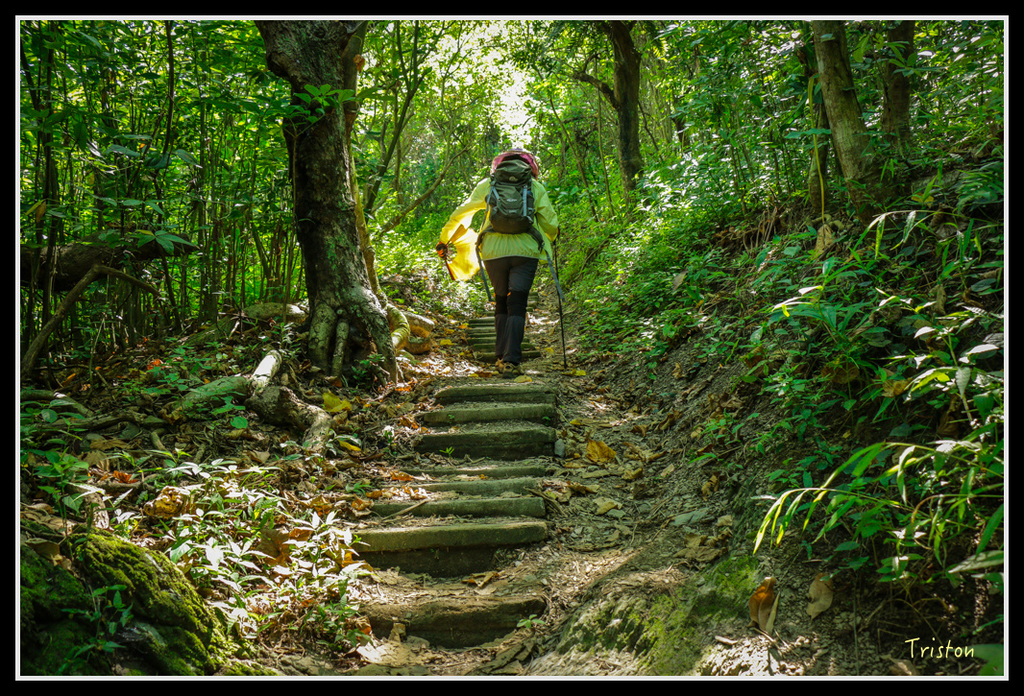 IMG_7256.jpg - 20160531 屏東笠頂山