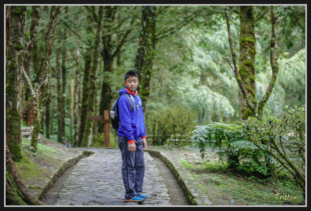 00177.jpg - 20161231 明池 神木園