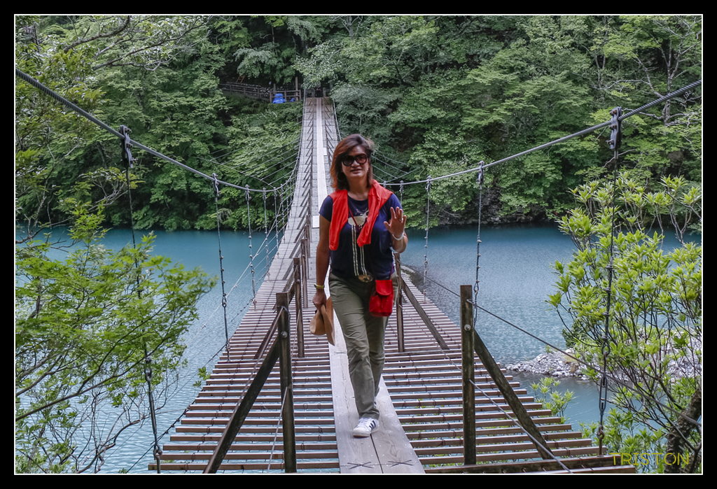 _MG_0799.jpg - 20170702 靜岡東海道之旅