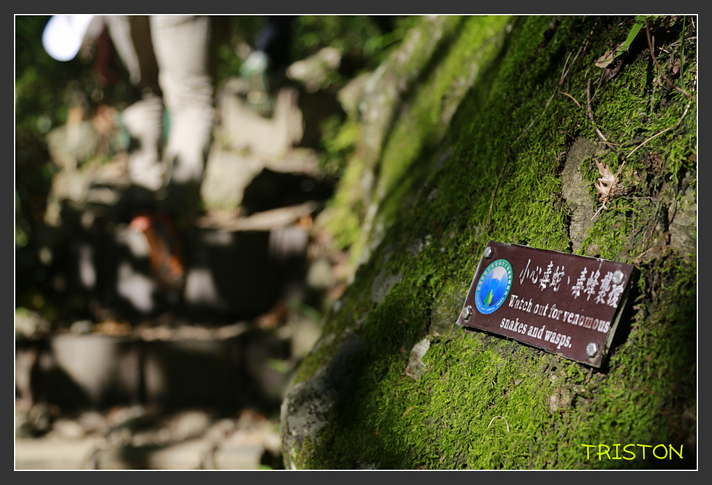 _H1A6287.jpg - 20170901 戀戀台九線