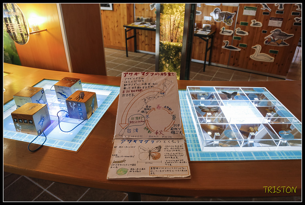 _H1A1135.jpg - 20171103 日本只見線、會津若松五色沼、昭和記念公園賞紅葉