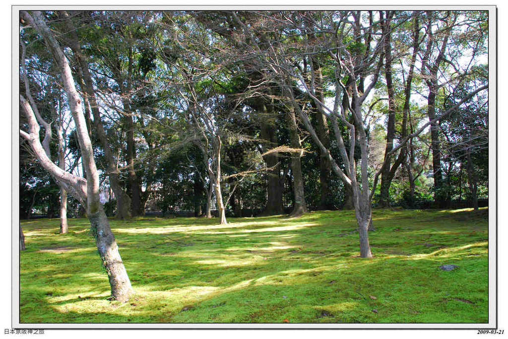 2009-03-21-13_44_23.jpg - 20090320 日本京阪神之旅