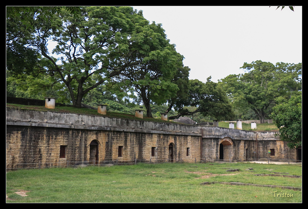 IMG_7761.jpg - 20150717 台北兒童新樂園 六福村