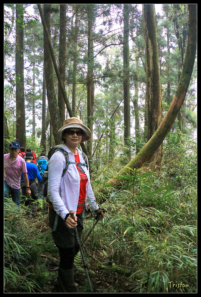 IMG_8311.jpg - 20150926 大凍山切霹靂山 抵龍雲山莊