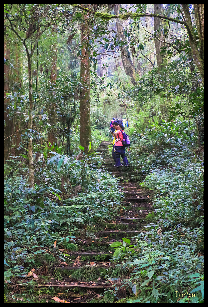 IMG_8345.jpg - 20150926 大凍山切霹靂山 抵龍雲山莊