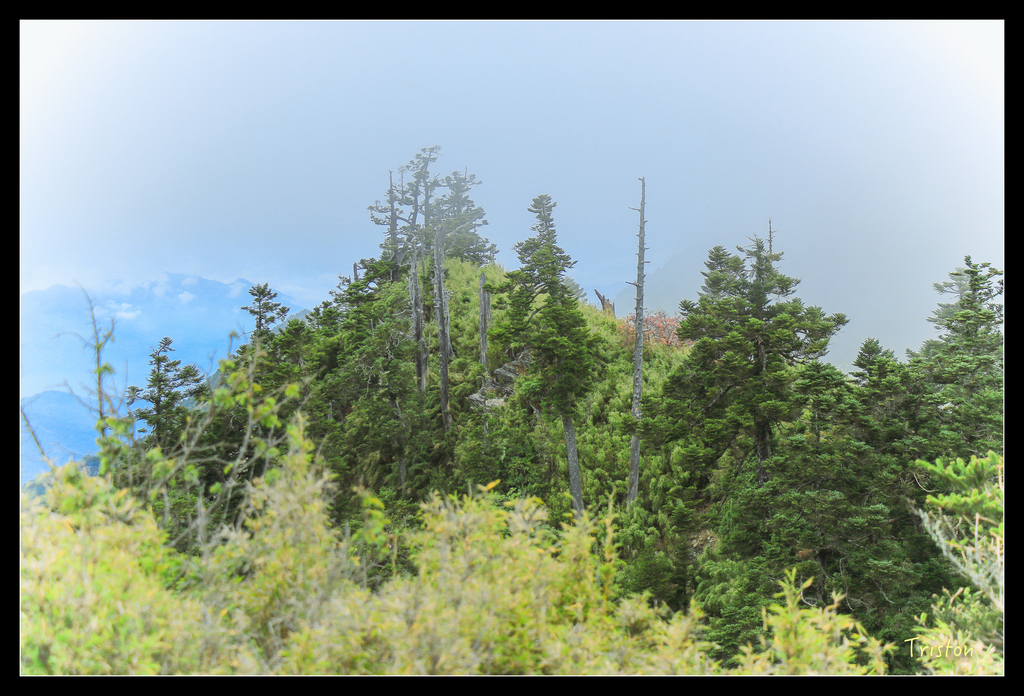 IMG_8742.jpg - 20151017 郡大林道、望鄉山、郡大山