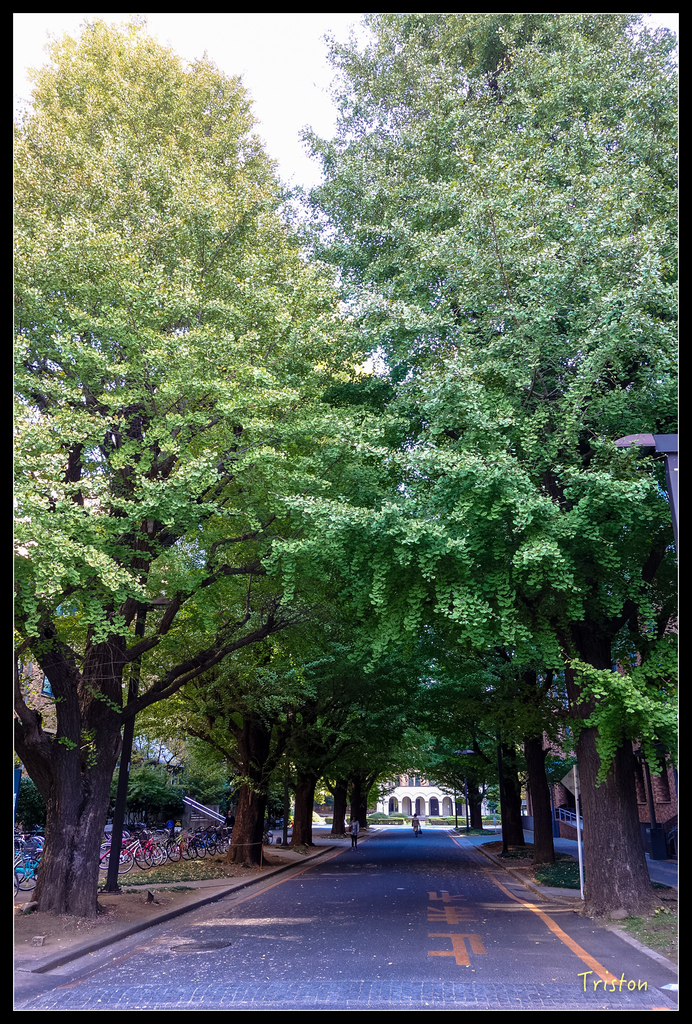 DSC00186.jpg - 20151031 秋天的童話-貴婦東京輕井澤紀行