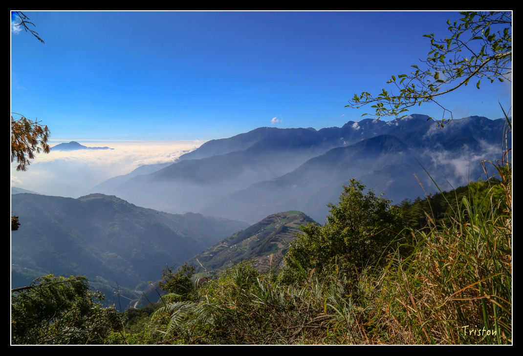 JH1A0646.jpg - 20151205 合歡溪步道、108K楓之谷