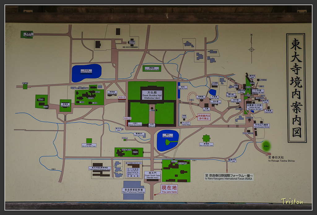 IMG_4316.jpg - 20160323 日本熊野古道健行