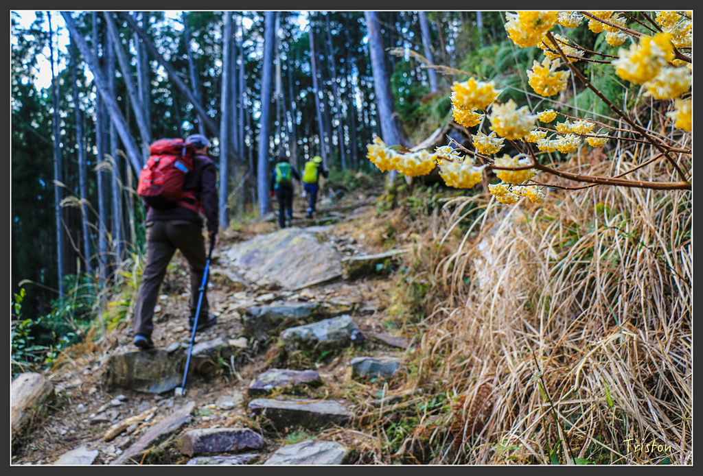 IMG_5308.jpg - 20160323 日本熊野古道健行