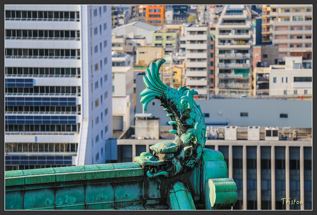 IMG_6004.jpg - 20160323 日本熊野古道健行