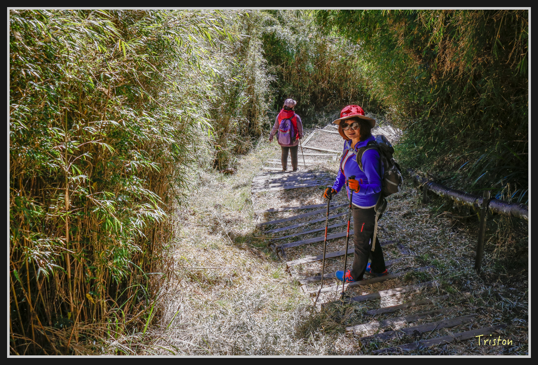 _MG_0149.jpg - 20161226 大塔山