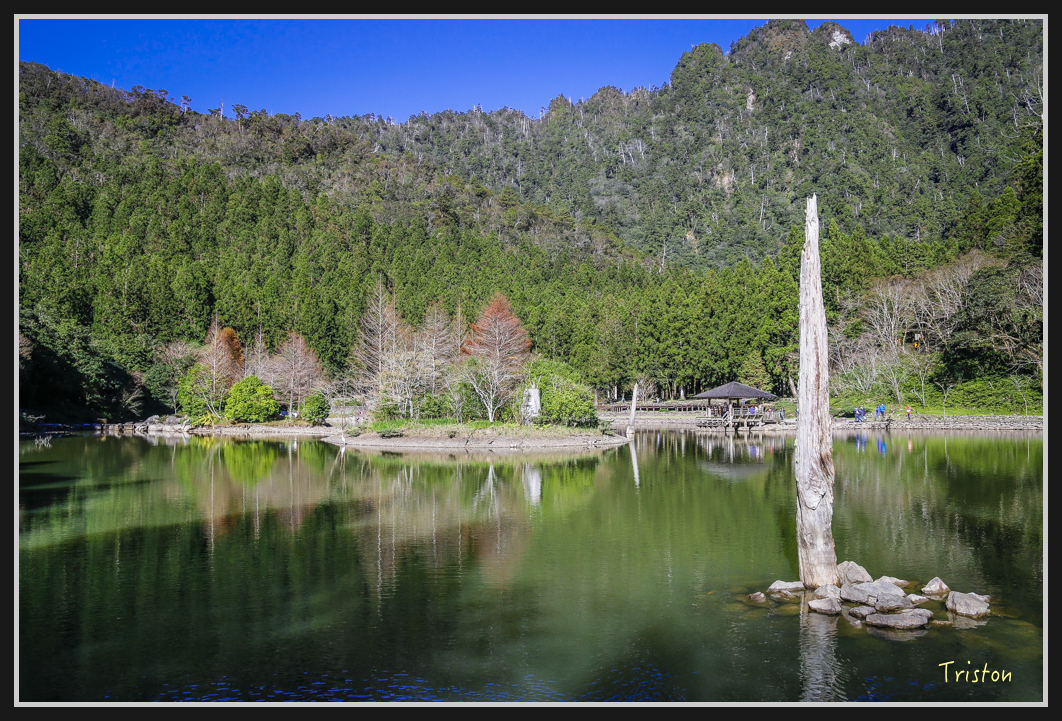 00208.jpg - 20161231 明池 神木園