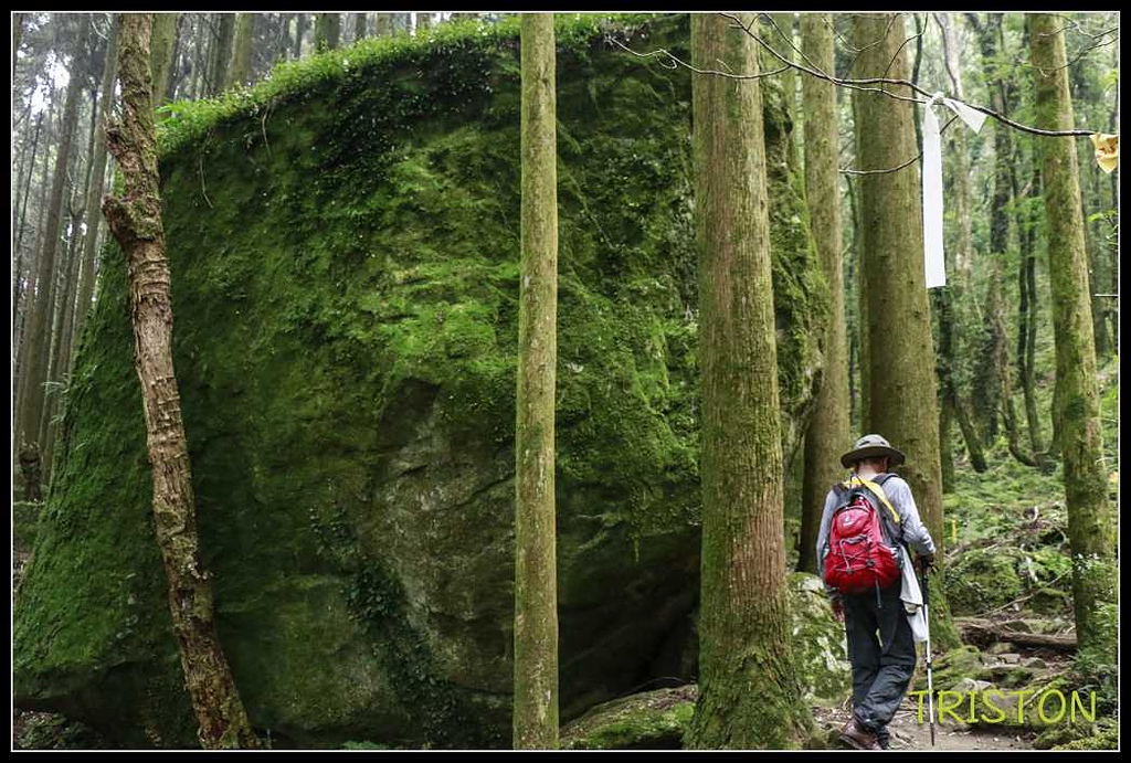 _MG_0074.jpg - 20170920 加里山